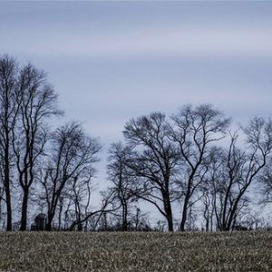 20124995_1932254881