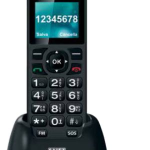 80351312_7710005895