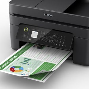72515310_7516861279