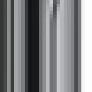 93567998_1885456572