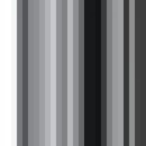 93567998_2498706190