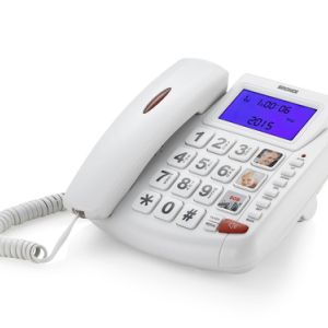 40923977_8876665551