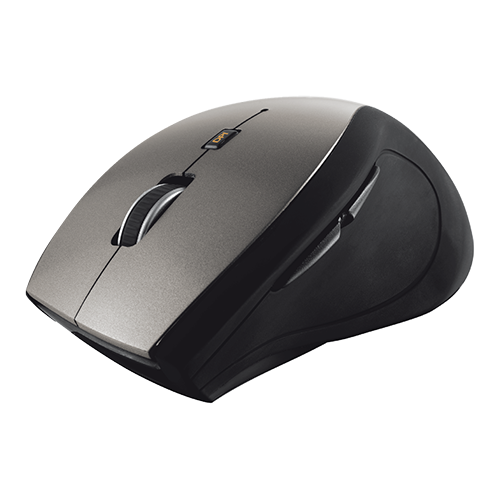 Mouse 19938