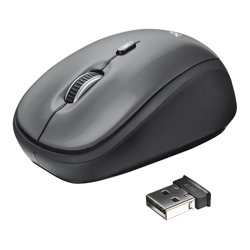 Mouse 18519