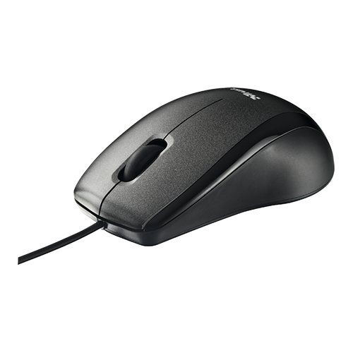 Mouse 15862