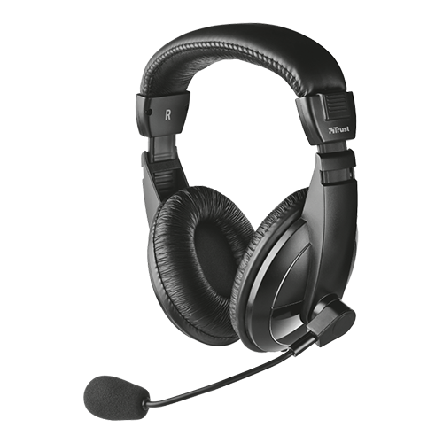 Cuffia con microfono 16976