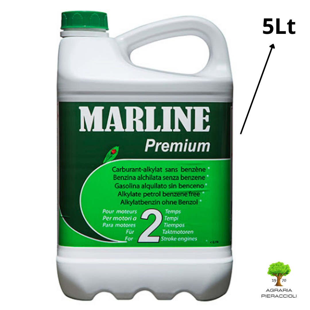 Tanica 5Lt miscela Benzina PREM2T858