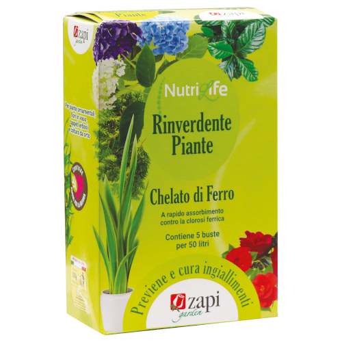 NUTRILIFE RINVERDENTE 5 bs x 20g