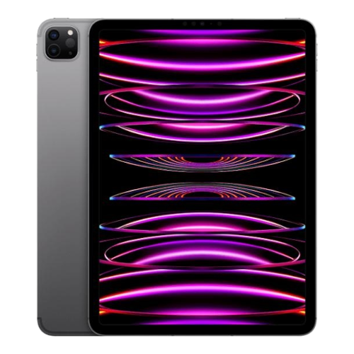 iPad Pro 11 Pollici 2022 256Gb WiFi Cell MNYE3TY Space Gray