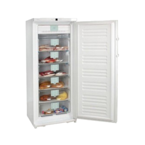 congelatore-gn2956-21a