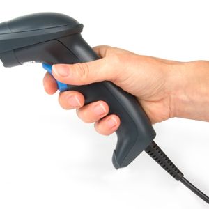 101870728_2928619086