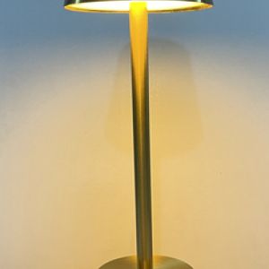 103160146_0155801078