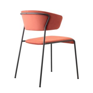 107728381_6829216335