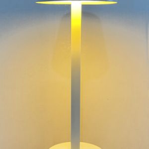 103160148_0386320804