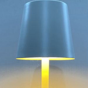 103160148_2478404528