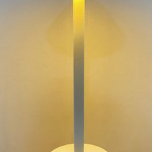 103160153_2730219283