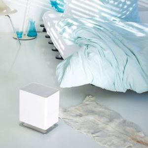 img_29729059_medium_1480606732_7275_31089