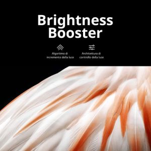 ee059a1379ccaec6b6031289d5d94a97