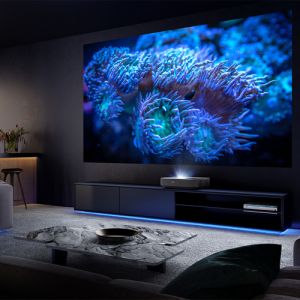 108242284_4291124428