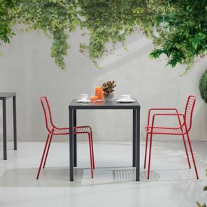 107728681_7582567418