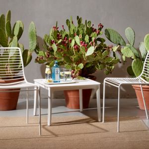 107728681_8898394786