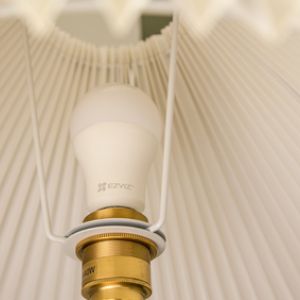 108423904_9454602651