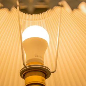 108423904_2992321859