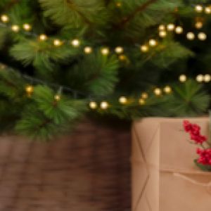 2082c75a4af827028fc104a752b5501f8c0b231d