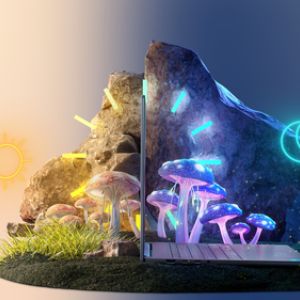 c09689a815c7e3470cfc89c652929d89785e6730