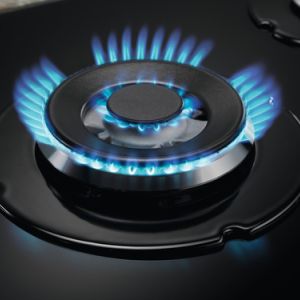 d75586eb1e8e07c2e88c8fa8a84563356dff2893