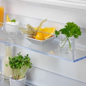 2c4c3294483a2f01d678a7306b5262b8c5be3553