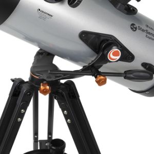 100311190_1603340379