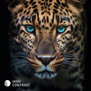 21977b023e42d5a365a818572413e23816fdb218