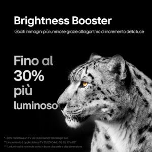 5d093b977fbefea860272958d9fd578283a9de55