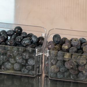 b6caa2d62eaef1a9000a5cba530bf26af136c41e