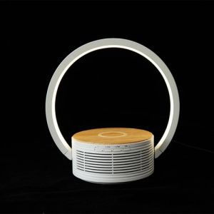 119257d2222c41978cd86793f1d09ca7