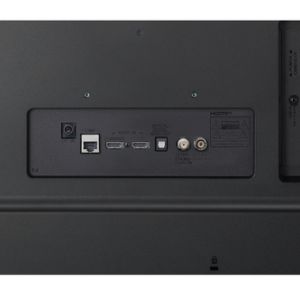 104779947_2490600468