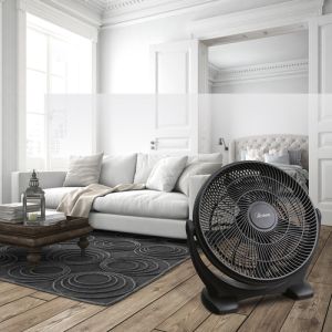 101244606_8036819983