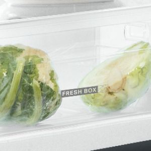 02b2a3a509239c37d94c118e7239e8ad