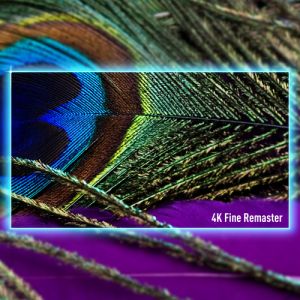 91109ca6371ee605063ff13892a8fc5556d1c0ec