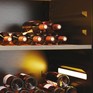 8c9c32e52bcd5da9905d6ed8a811b5b654fee3dd