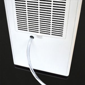 img_21918043_medium_1480331813_4733_2339