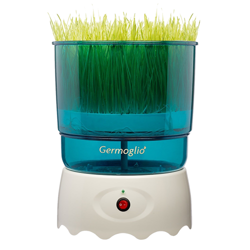 Germogliatore Germoglio