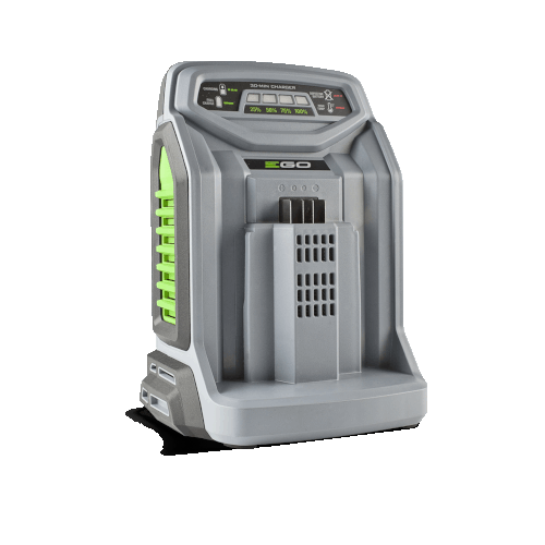 Carica batterie CH 5500 E