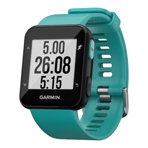 FORERUNNER 30 010-01930-04