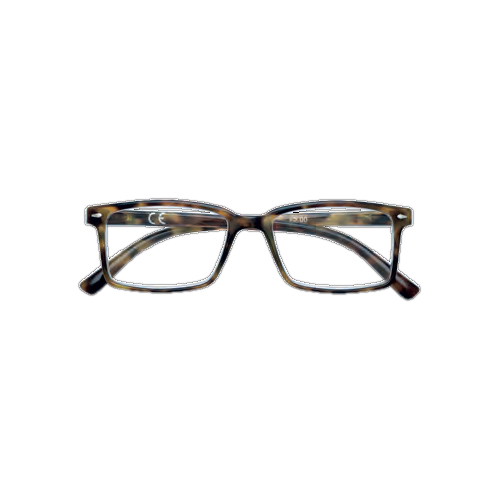 Occhiali da lettura 31Z-B21-PNG300