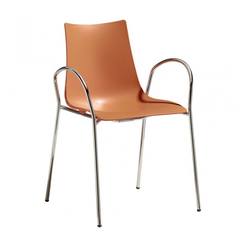 ZEBRA TECN. C/BRACCIO