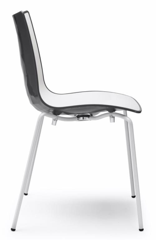 ZEBRA BICOLORE A 4 GAMBE BIANC