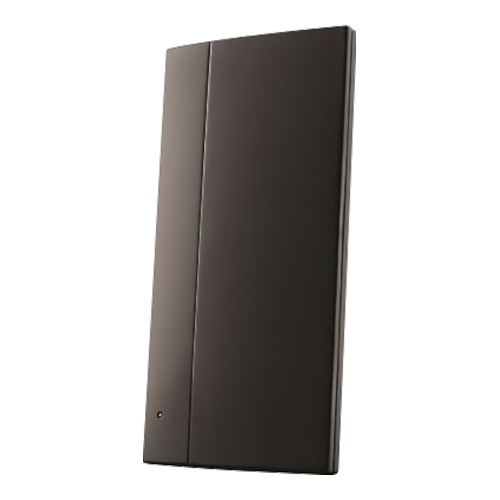 AD PROFESSIONAL R1 USB