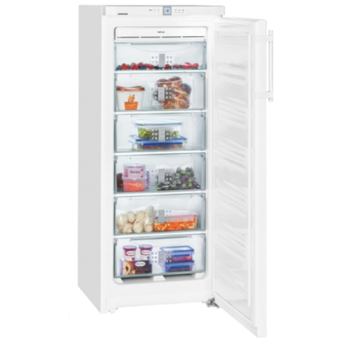 Congelatore GN2356-20